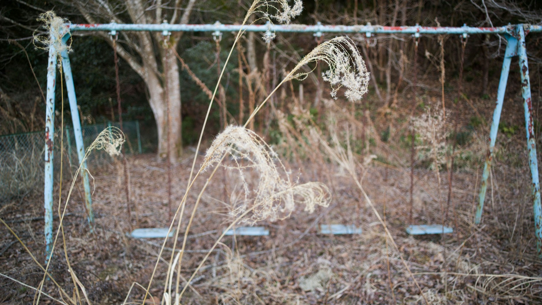 Eine Schaukel auf dem Gelände einer Grundschule in der Präfektur Fukushima. Hier schaukelt niemand mehr.