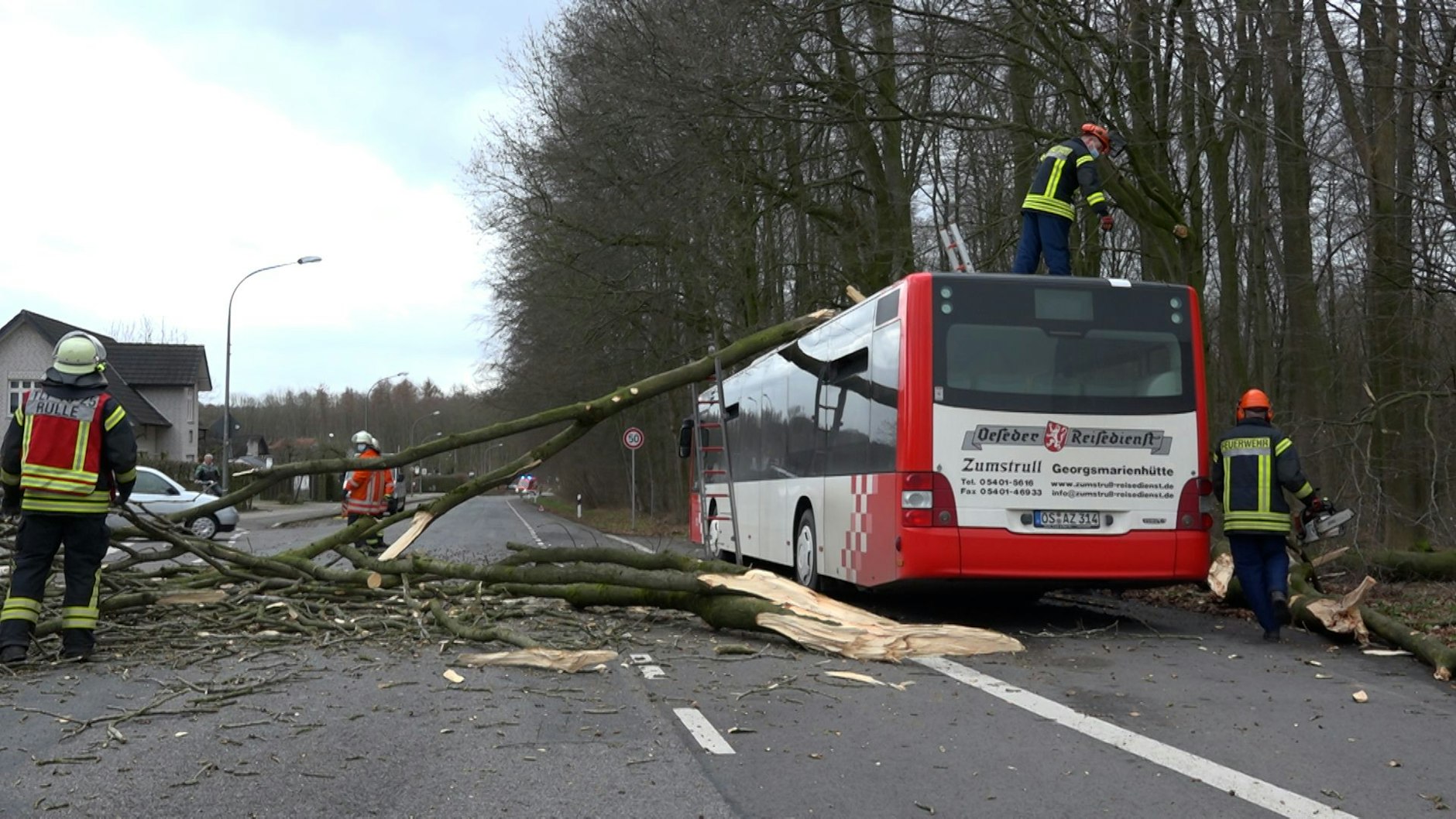 Einsatzkräfte der Feuerwehr entfernen Äste und weitere Teile eines umgestürzten Baums vom Dach eines Linienbusses. 