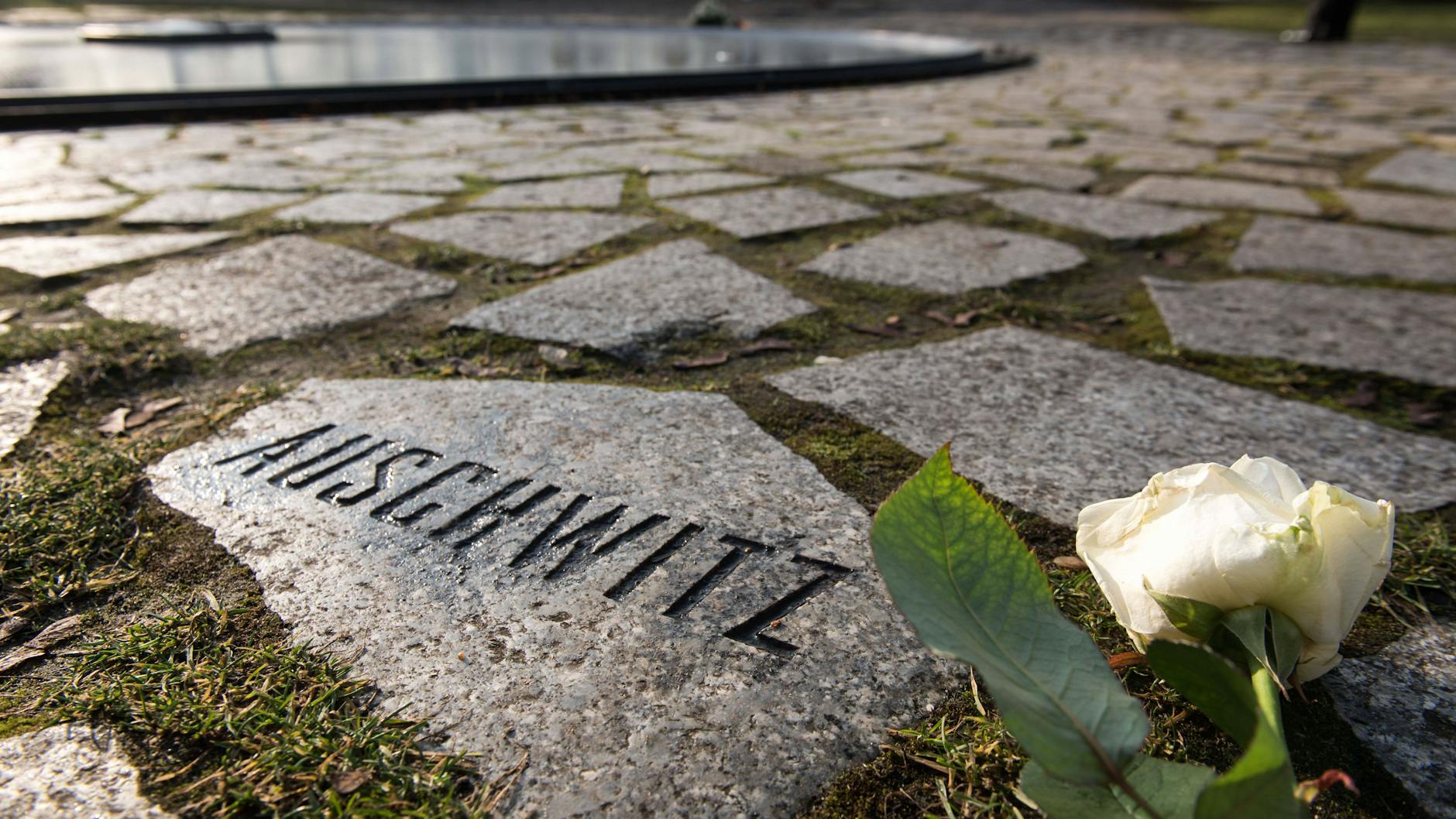 Eine weiße Rose zum Gedenken: Das Denkmal für die im Nationalsozialismus ermordeten Sinti und Roma Europa befindet sich im Berliner Tiergarten, unweit vom Reichstagsgebäude.