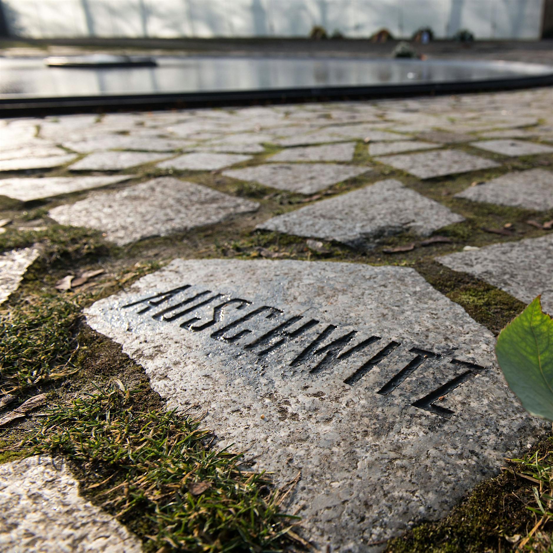 Streit um neuen Berliner S-Bahn-Tunnel: Zu dicht am Denkmal für Sinti und Roma?