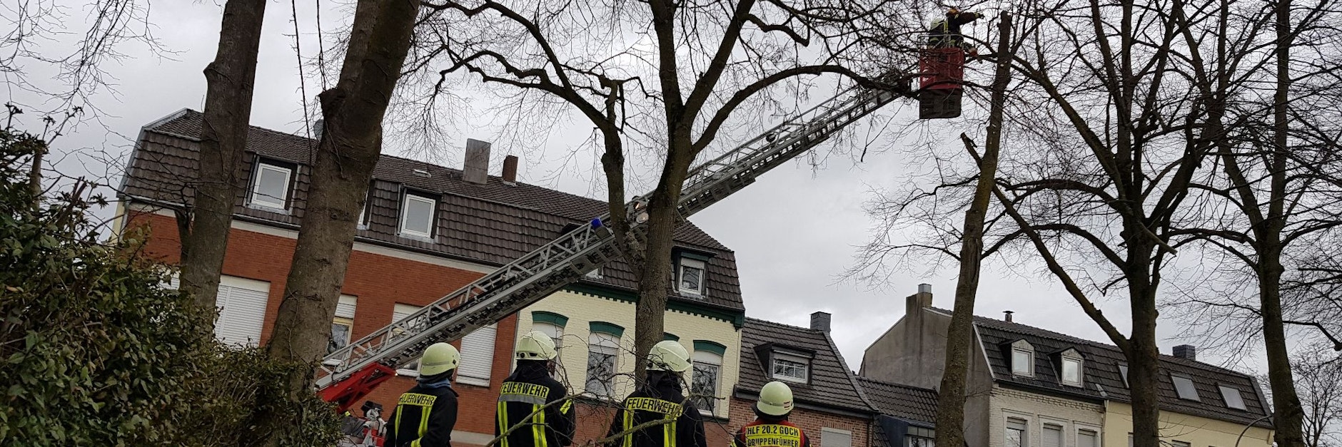 Feuerwehrleute arbeiten in Goch (NRW) an einem Baum, dessen Äste durch die Böen des Sturmtiefs Klaus beschädigt wurden.&nbsp;