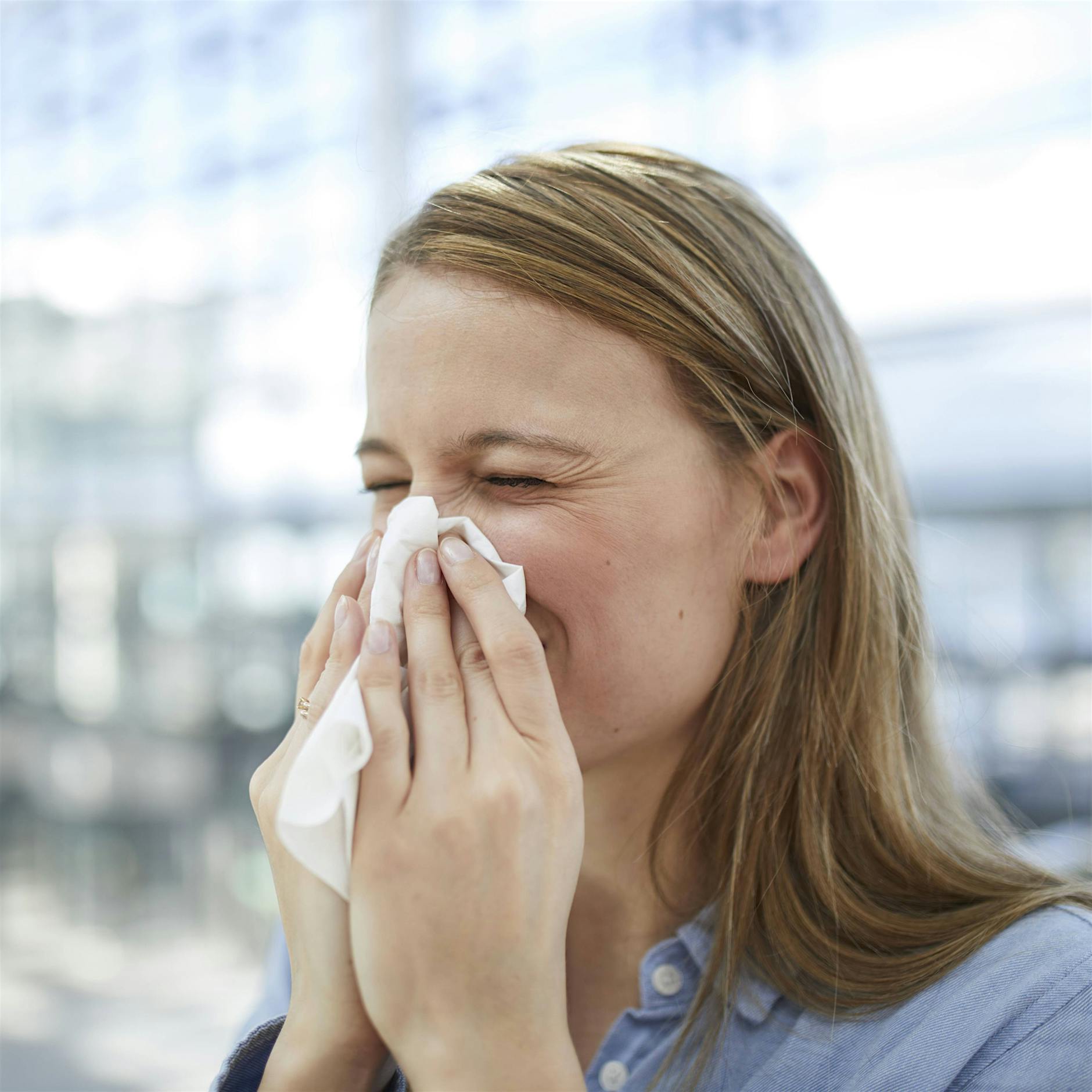 Heuschnupfen: Gräserpollen verursachen besonders heftige Beschwerden