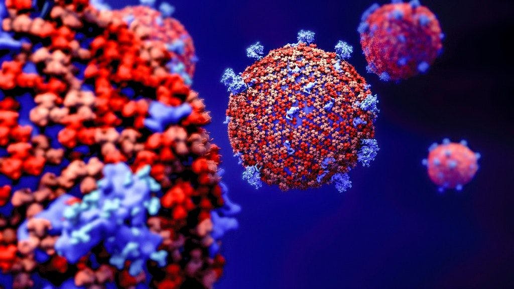 Das Coronavirus in einer Illustration.