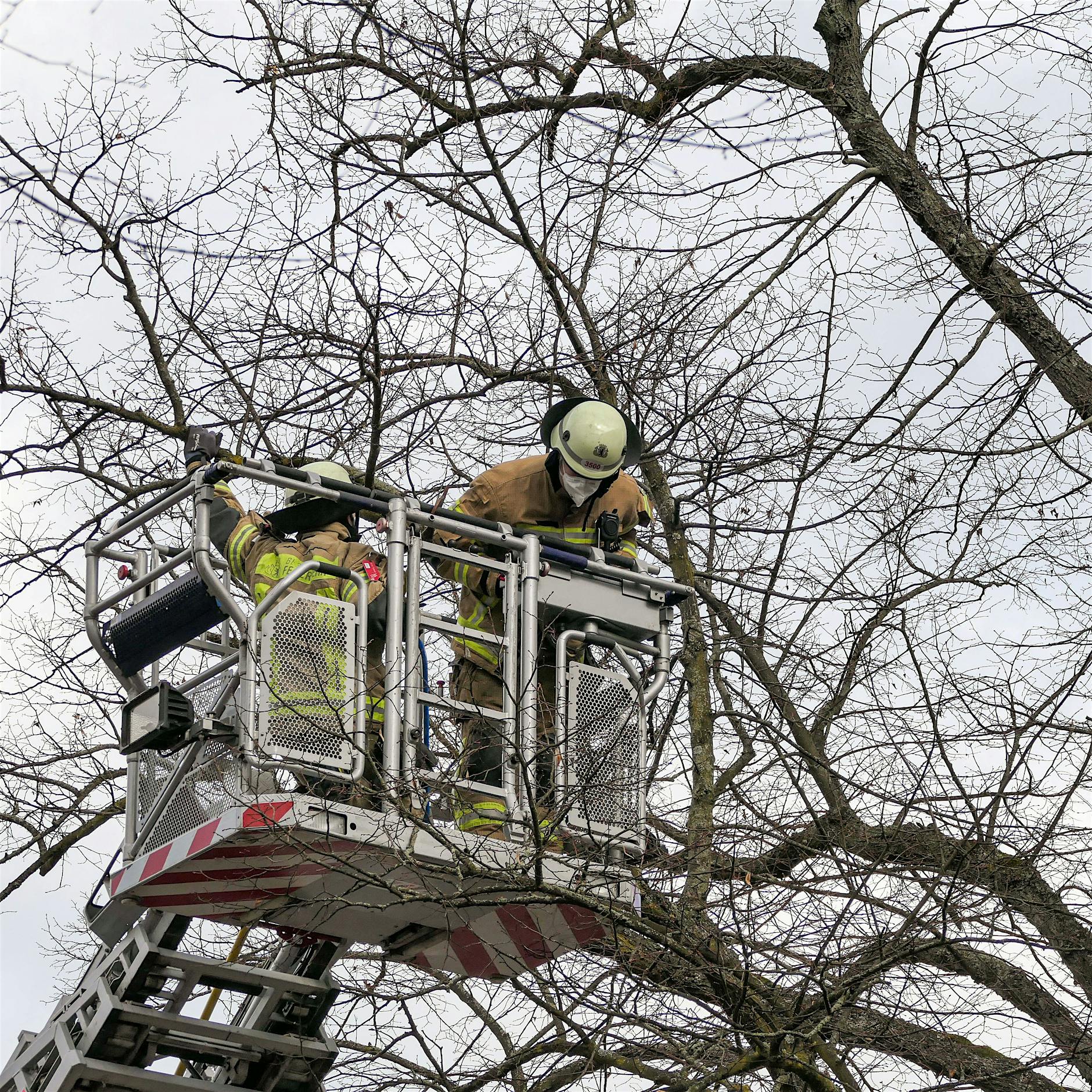 Berliner Feuerwehr nach Sturmböen im Einsatz