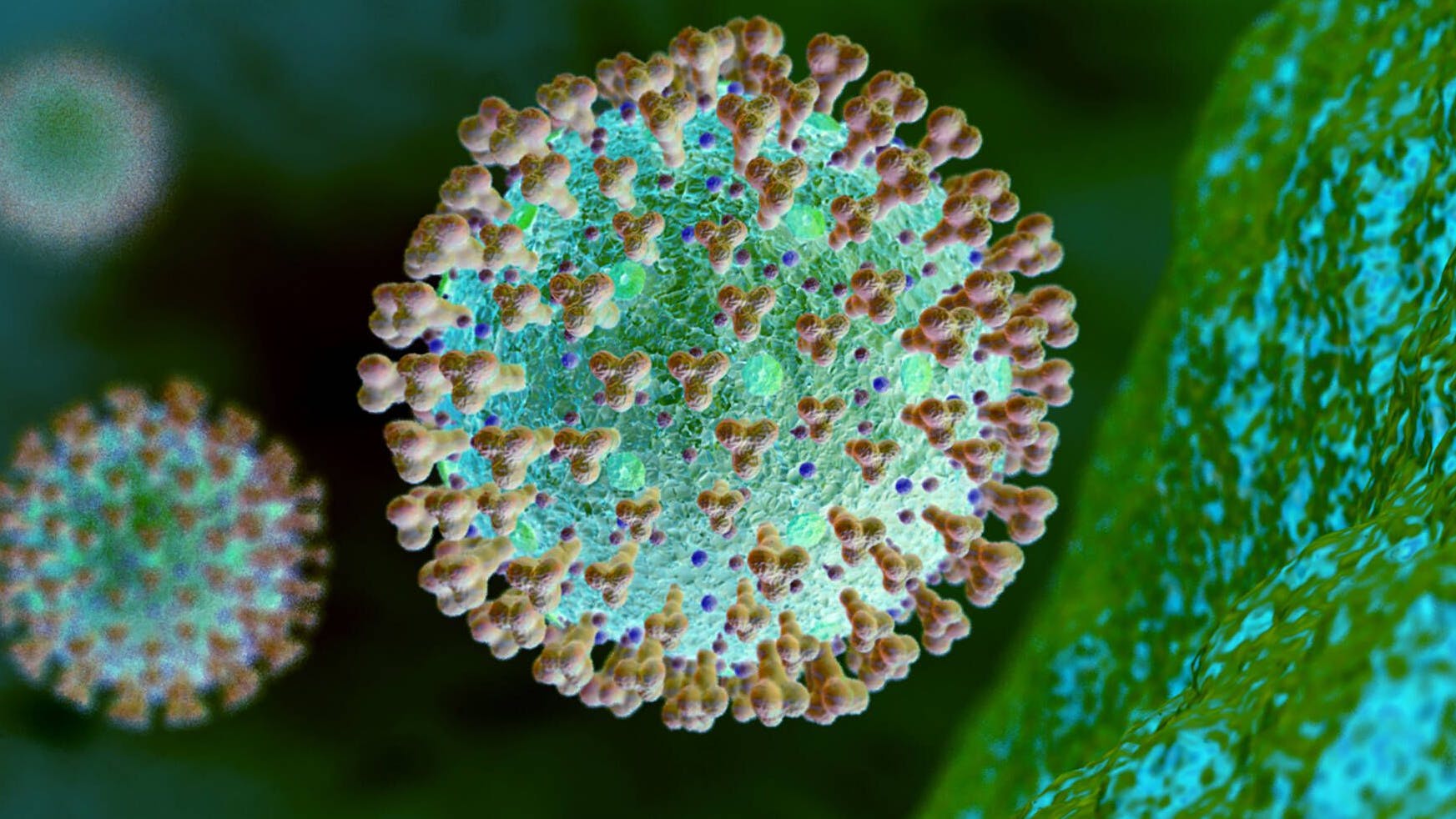 Sars-CoV-2 in einer grafischen Darstellung. Die mutierte Linie B.1.1.7 ist 30 bis 40 Prozent ansteckender als die vorher kursierenden Varianten.