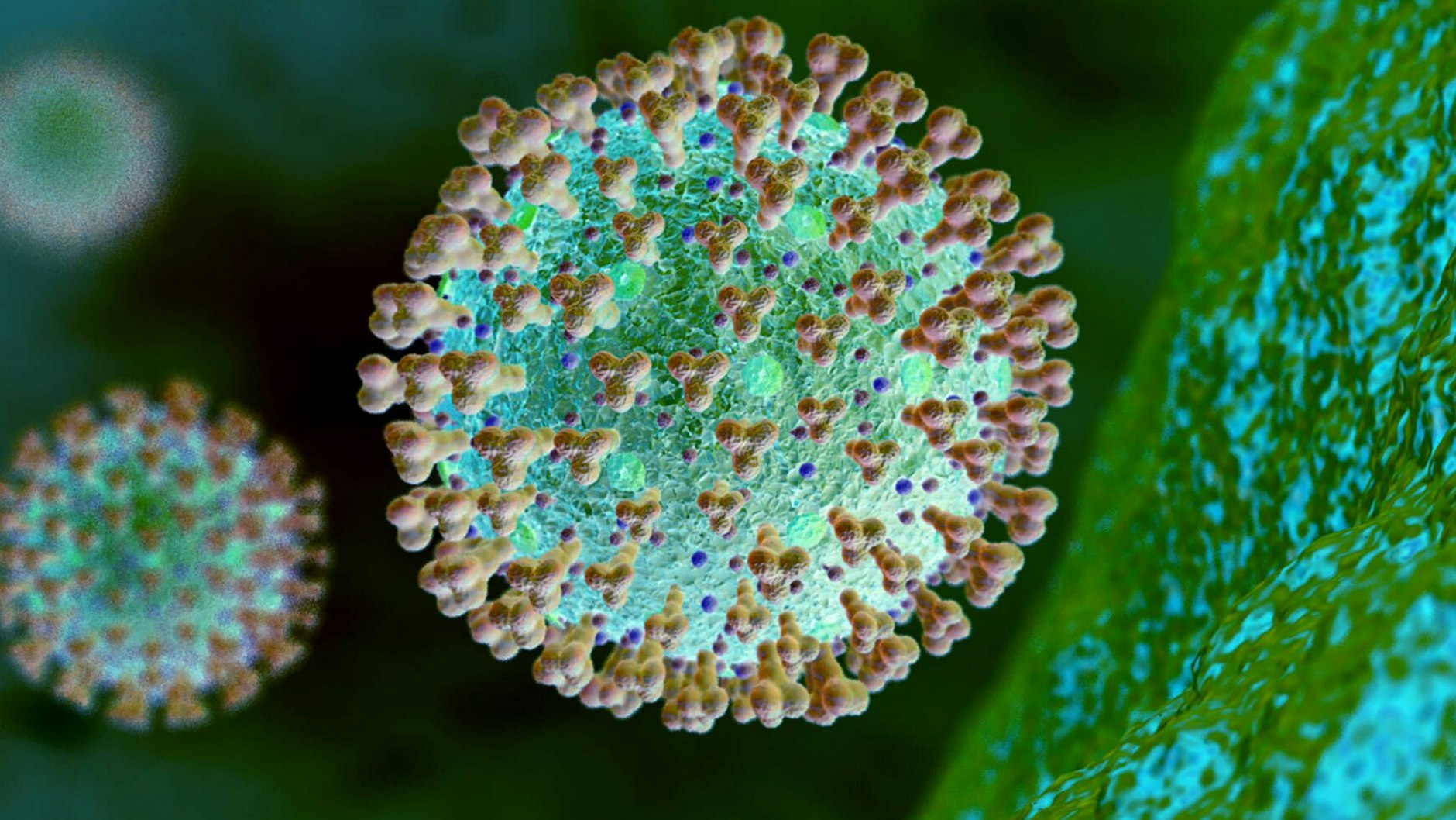 Sars-CoV-2 in einer grafischen Darstellung. Die mutierte Linie B.1.1.7 ist 30 bis 40 Prozent ansteckender als die vorher kursierenden Varianten.