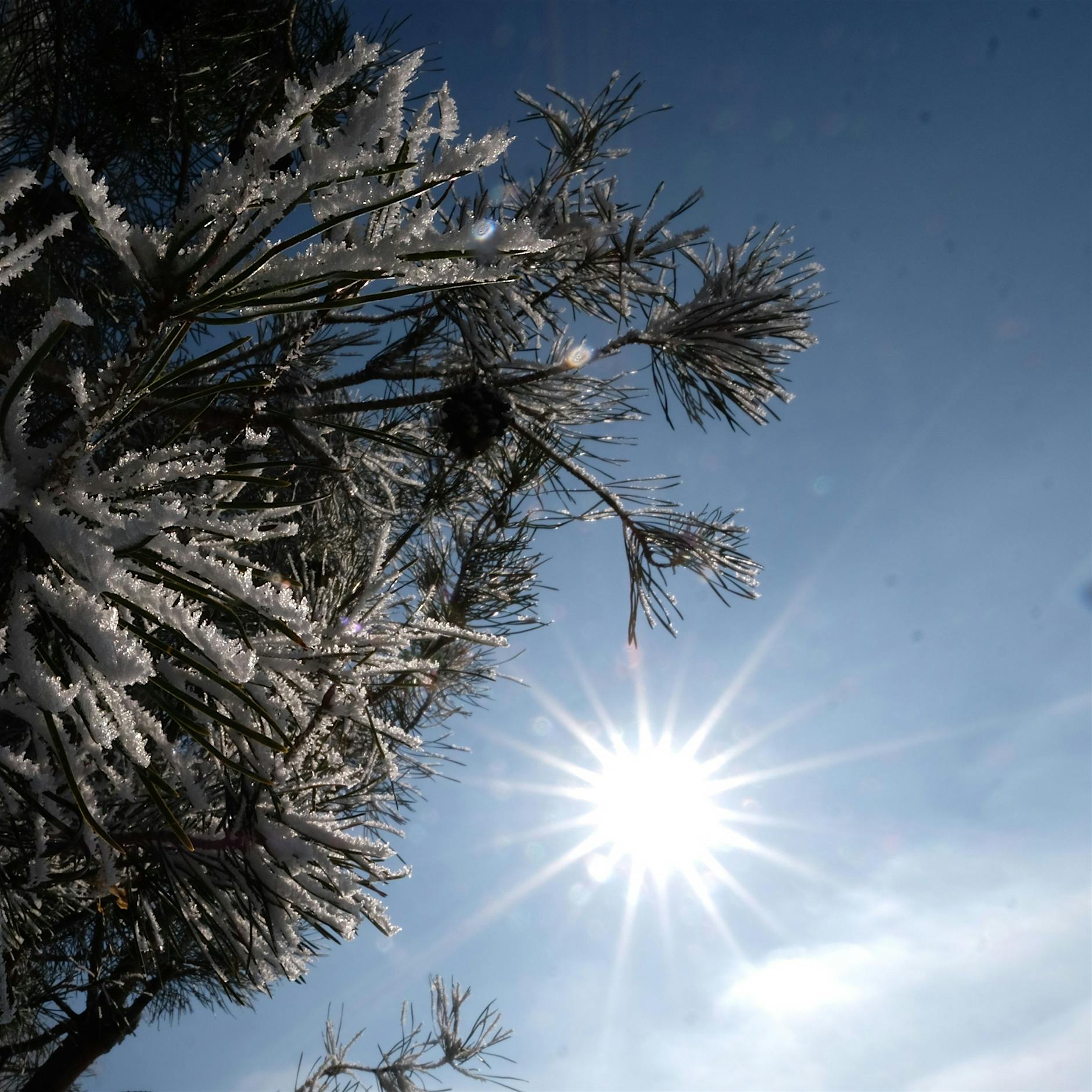 Meteorologe: Bis zu zehn Grad minus und Frost-Tief am Wochenende
