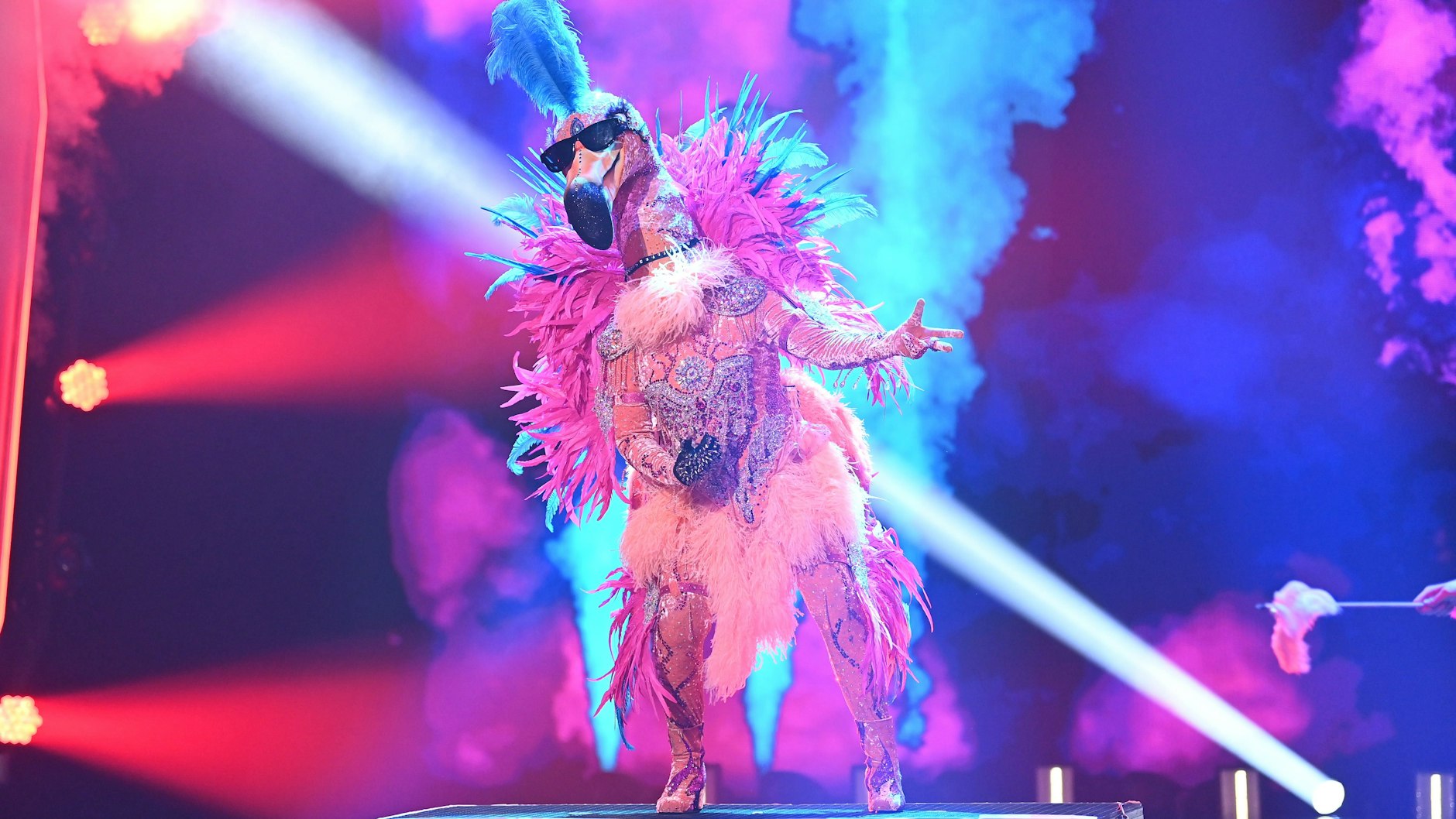 Der Flamingo kam schon nach der ersten Runde sicher ins „Masked Singer“-Finale.