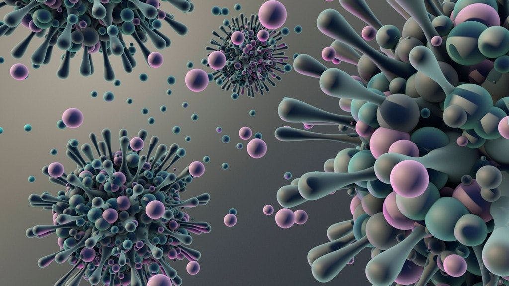 Das Coronavirus in einer Illustration.