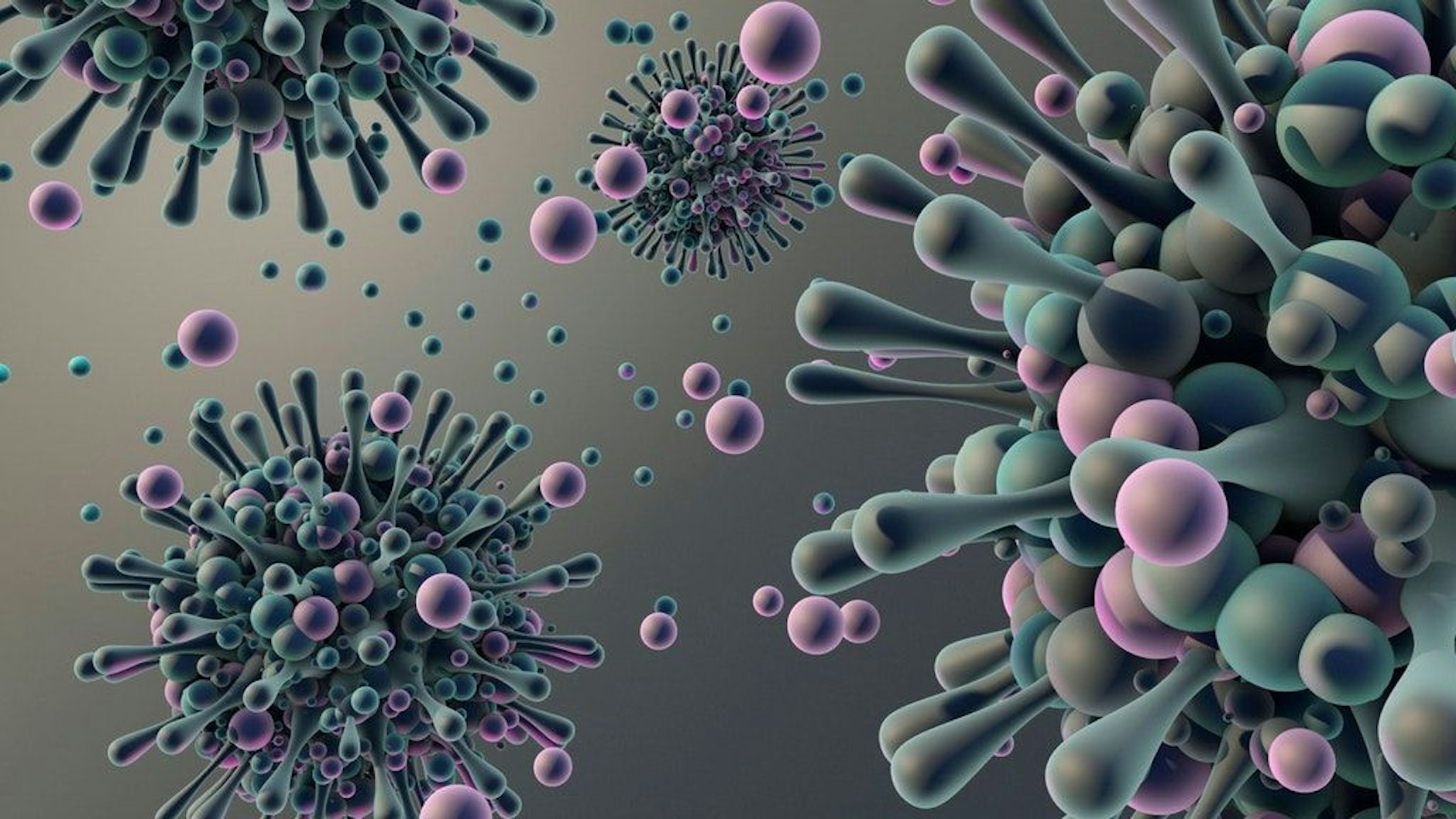 Das Coronavirus in einer Illustration.