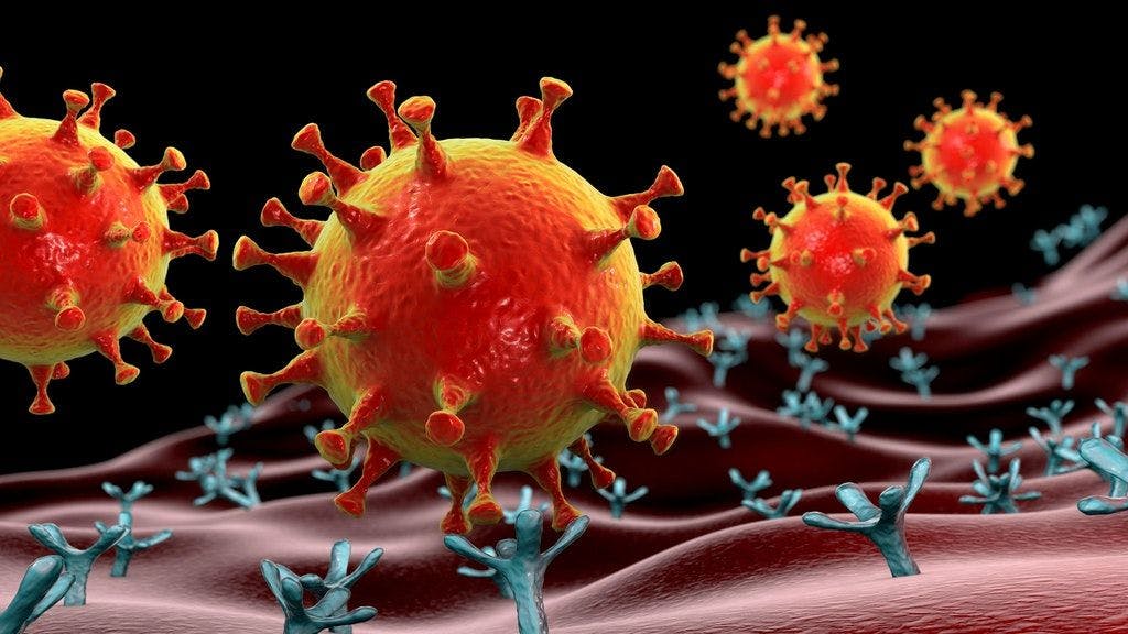 Das Coronavirus in einer Illustration.