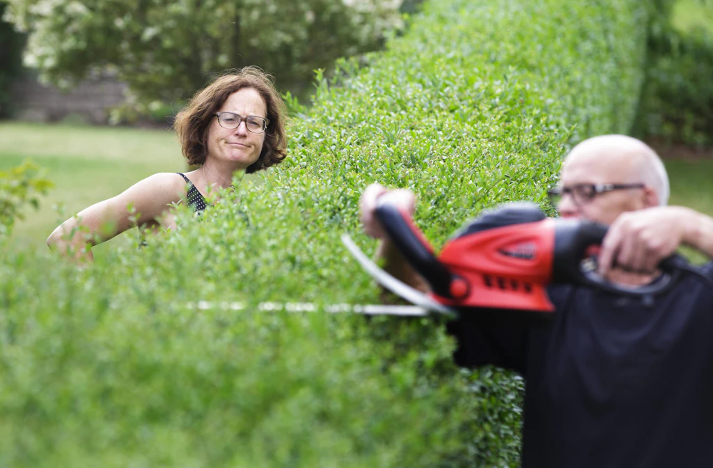 50.000 Euro Strafe für das Abholzen einer Hecke: Ist das gerecht?