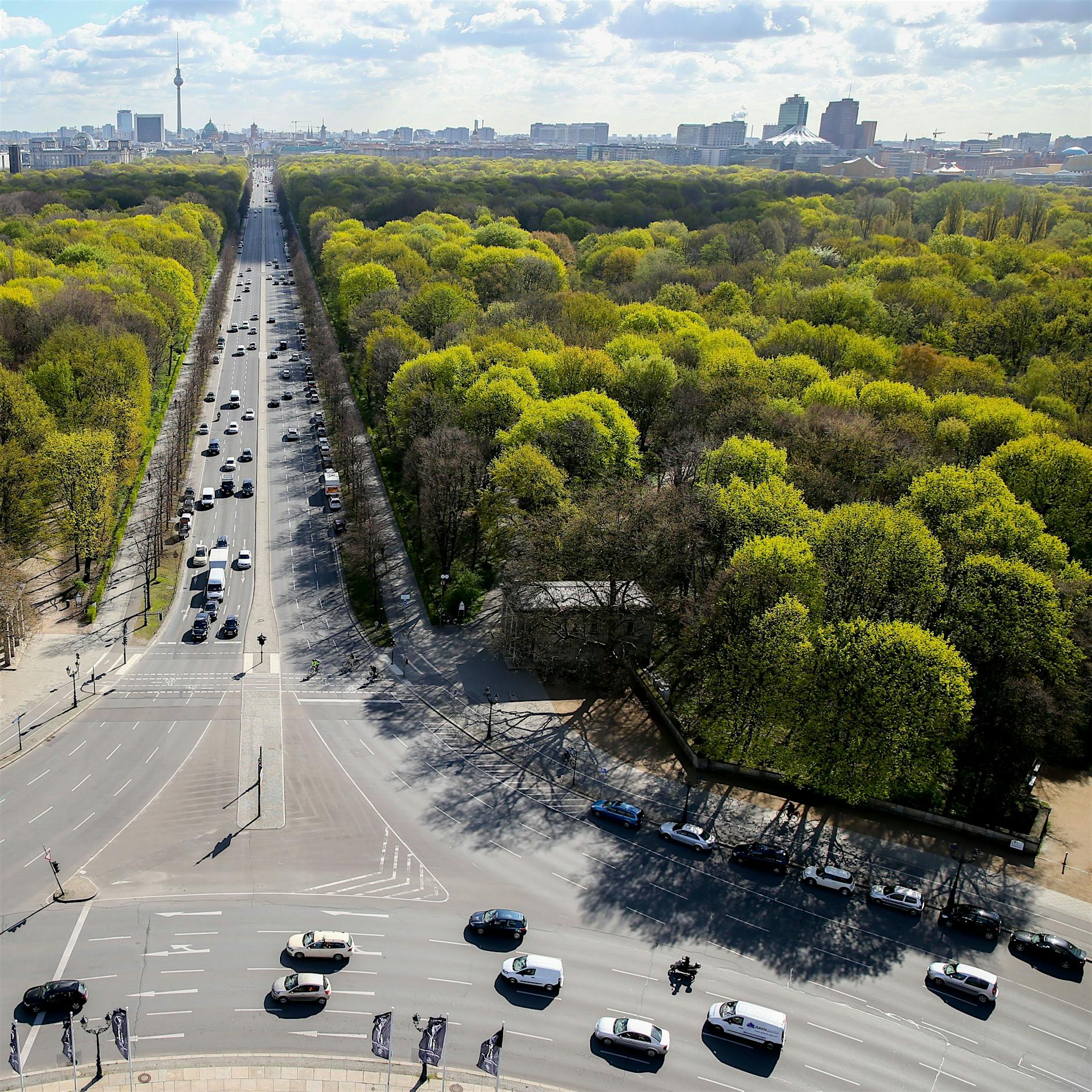 Berlin verliert pro Jahr mehr als 1100 Straßenbäume