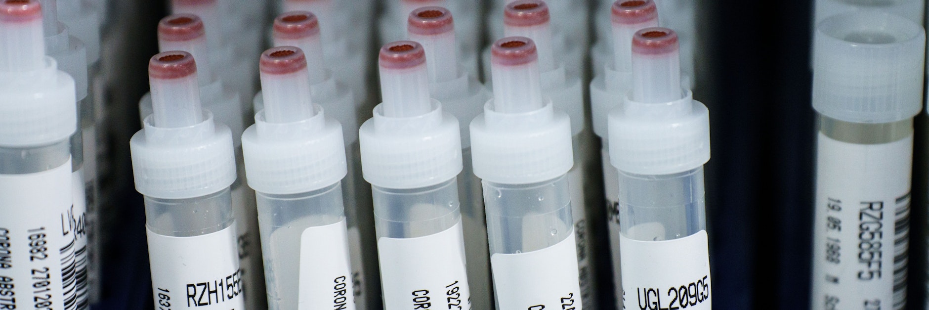 Kunststoffröhrchen mit Corona-Abstrichen stehen nach dem PCR-Test in einem Labor (Symbolbild).