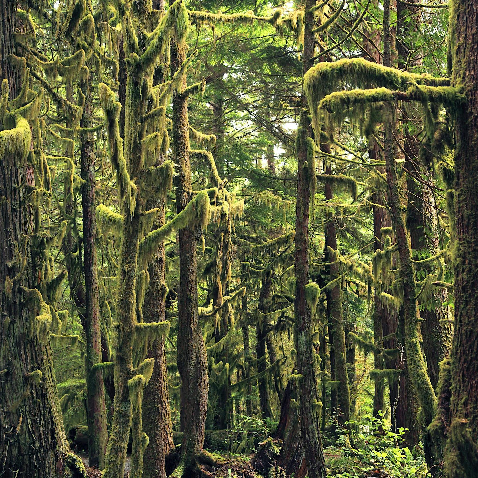 Überraschungen und Erschrecken: „Gestapelte Frauen“ und „Hüte deine Zunge“