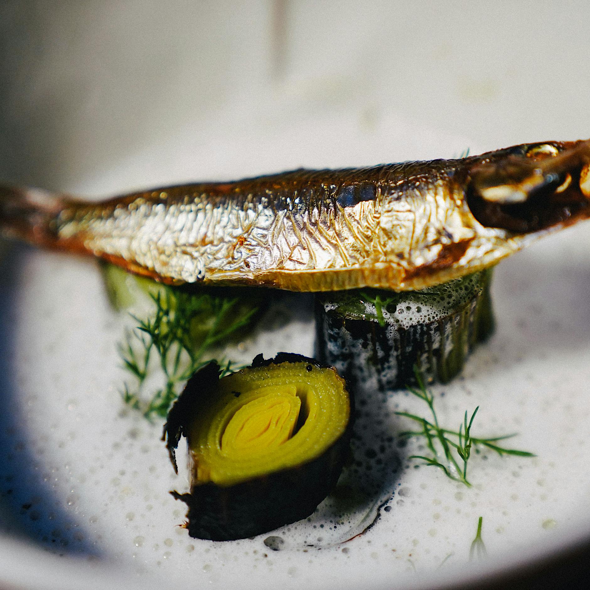 Steigen Sie um: Sprotte statt Sardine!