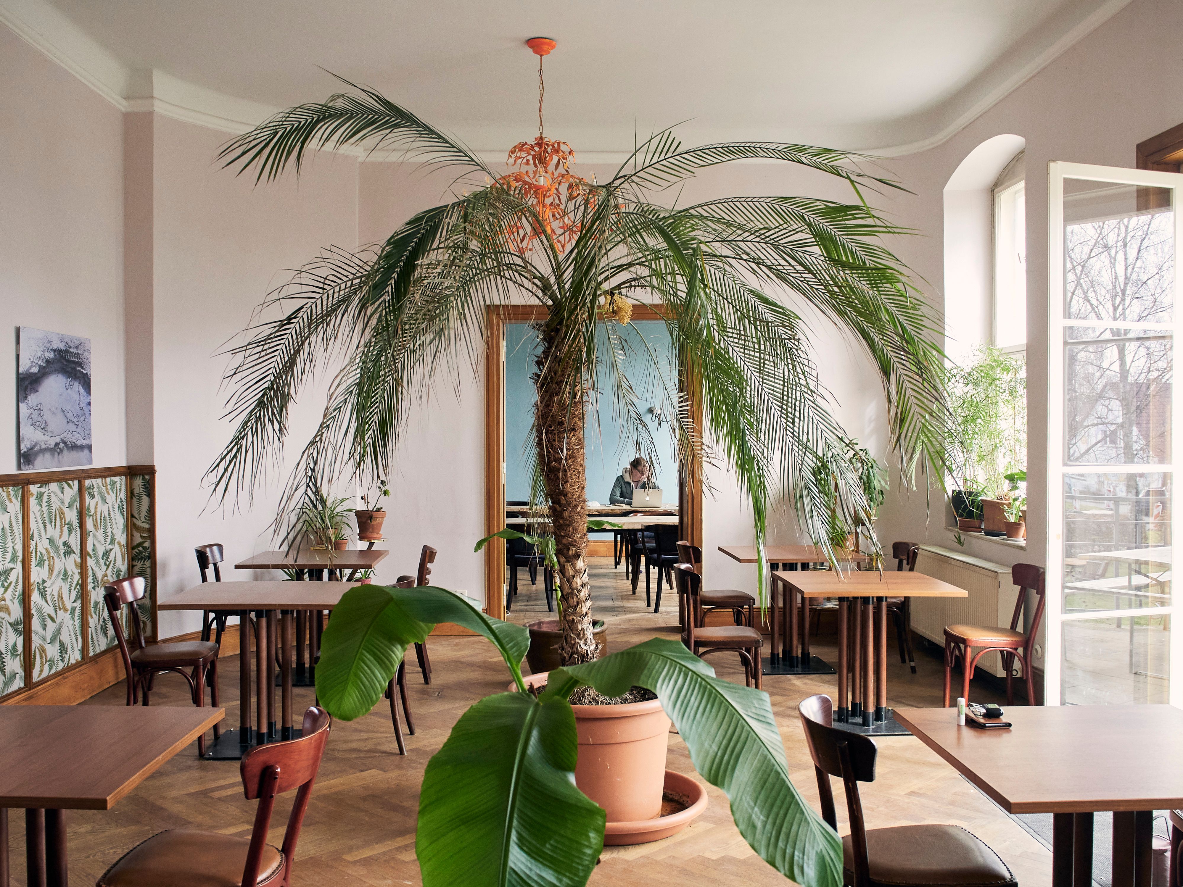 Bad Belzig: Entschleunigung im Süden von Berlin