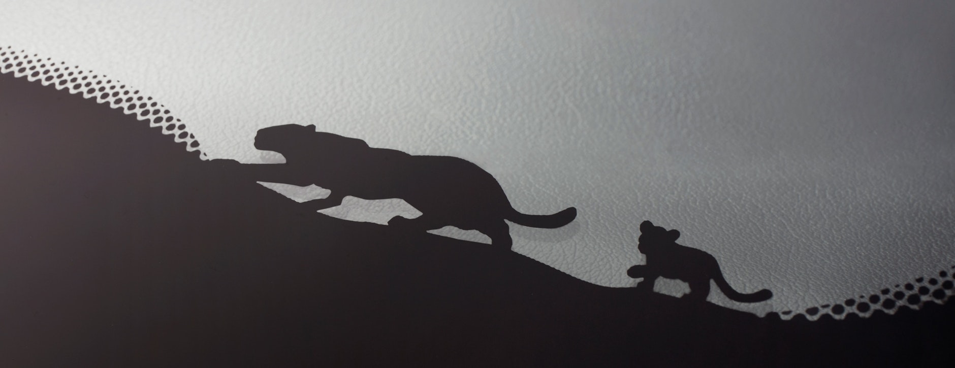 Folgt der Mama auf der Pfote: Ein Katzengespann geht entlang des schwarzen Scheibenrands bei Jaguar auf Pirsch.&nbsp;