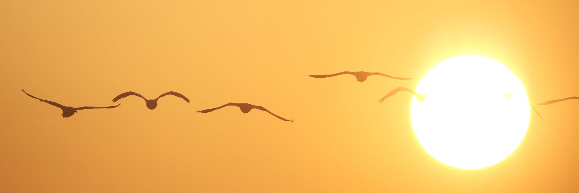 Anfang der Woche können wir noch die Sonne genießen. 