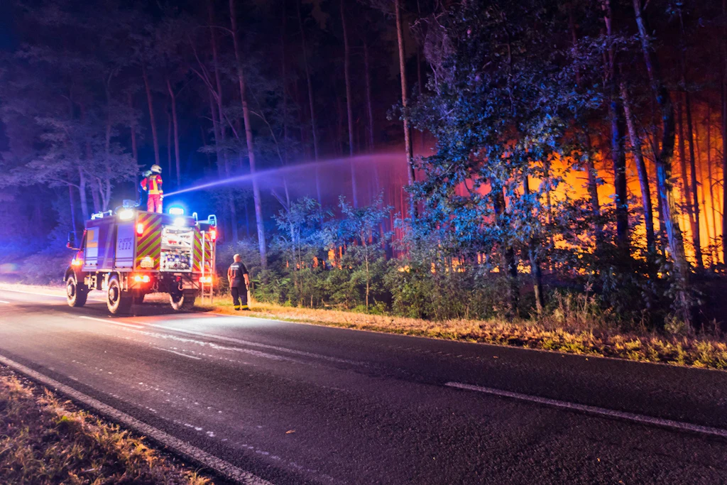 Brandenburg: Waldbrandgefahr ab Mitte der Woche hoch