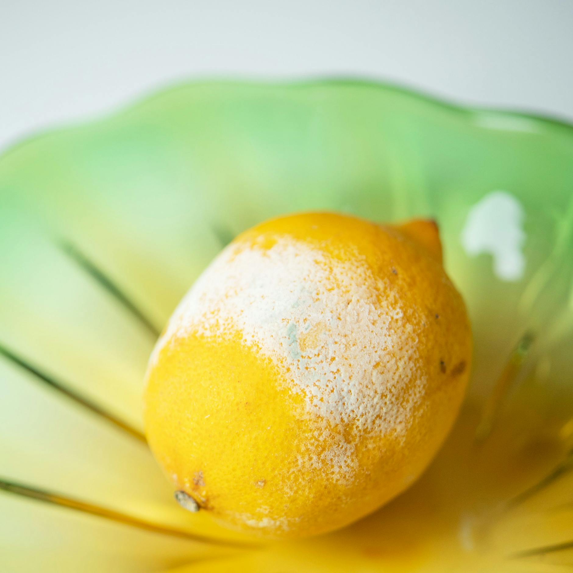 Mit diesen Tipps gehören schimmelnde Bio-Zitronen der Vergangenheit an