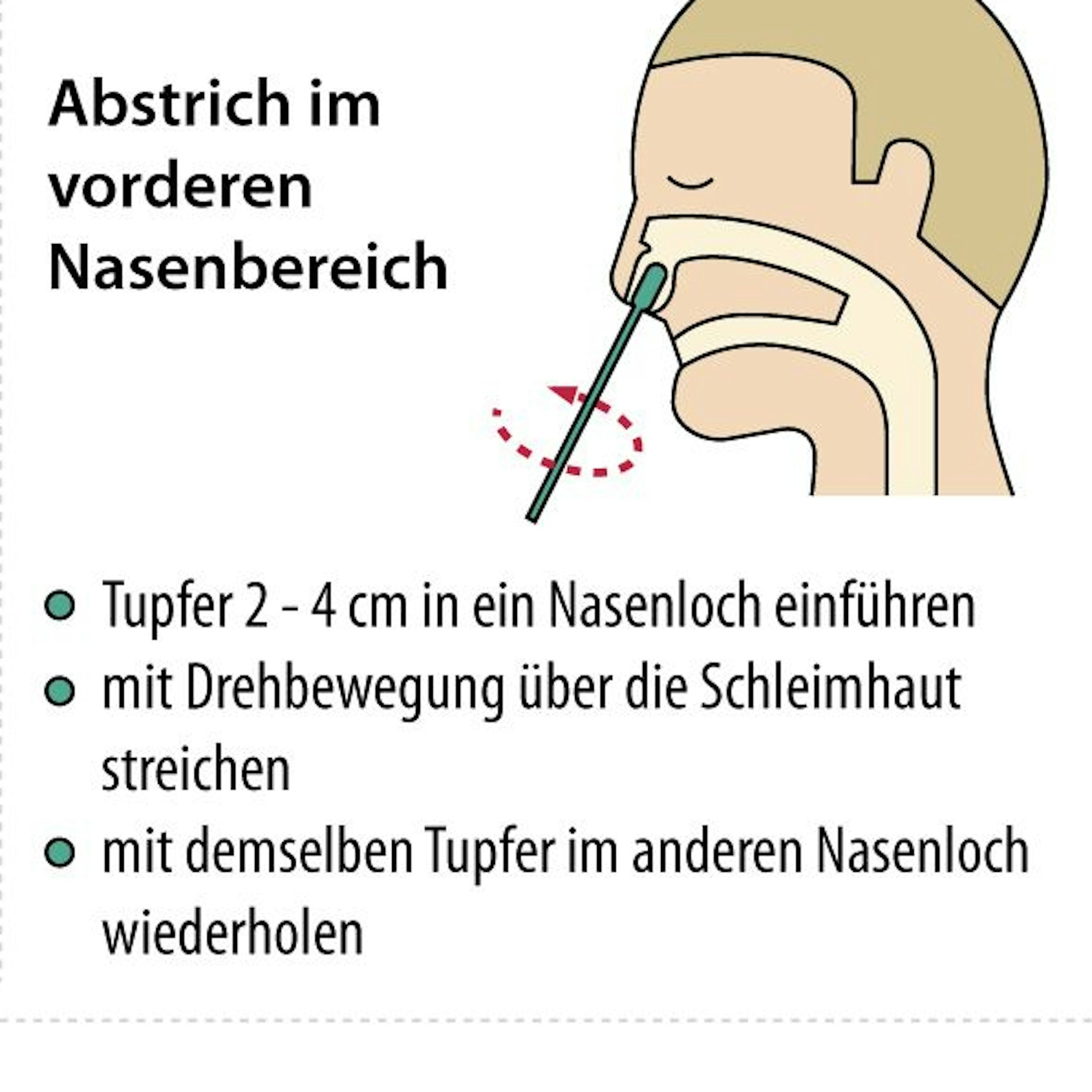 So einfach wird bei den Selbsttest die Probe aus dem Nasenraum entnommen.