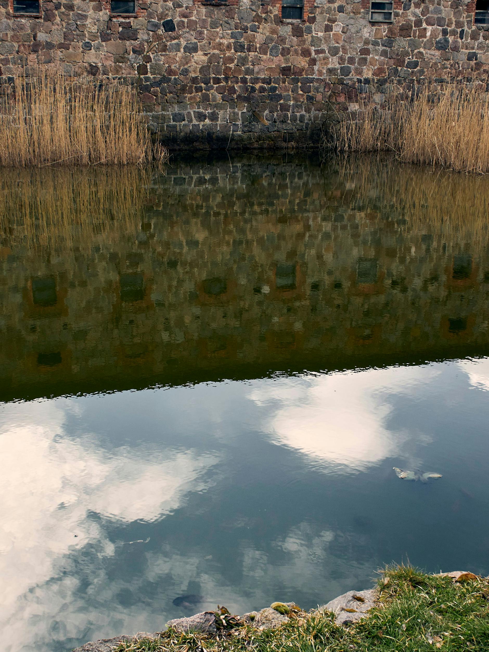 Eine Naturbetrachtung in der Nähe von Bad Belzig