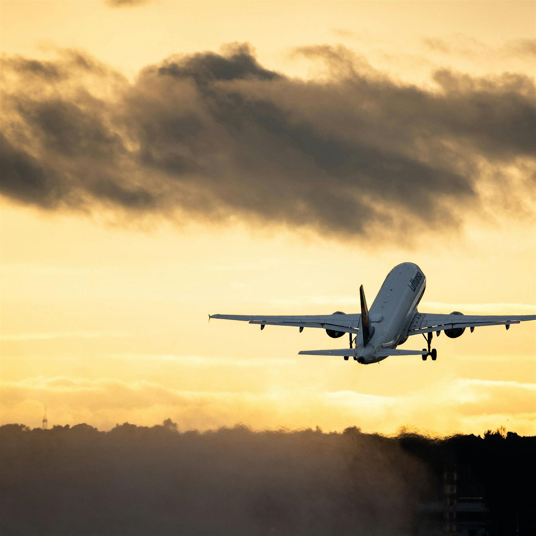 Testpflicht: Was Flugreisende nach Deutschland jetzt beachten müssen