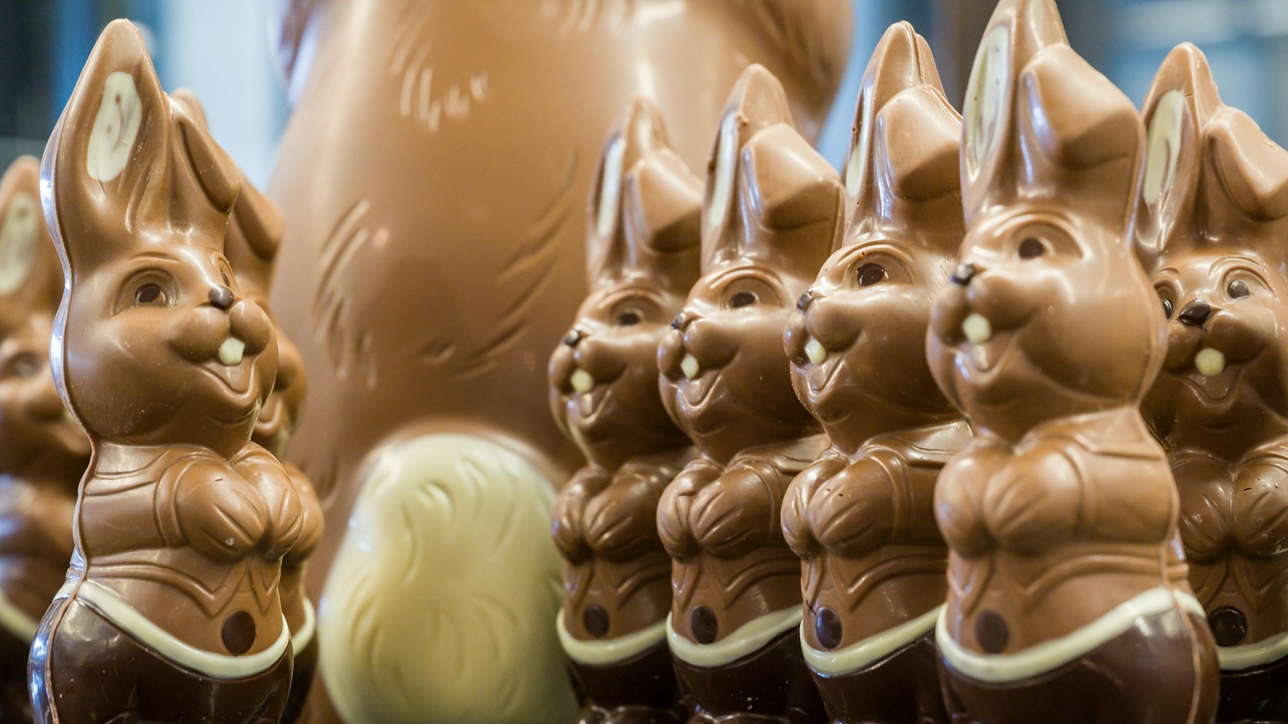 Die Hasen aus dreierlei Schokolade marschieren auf.