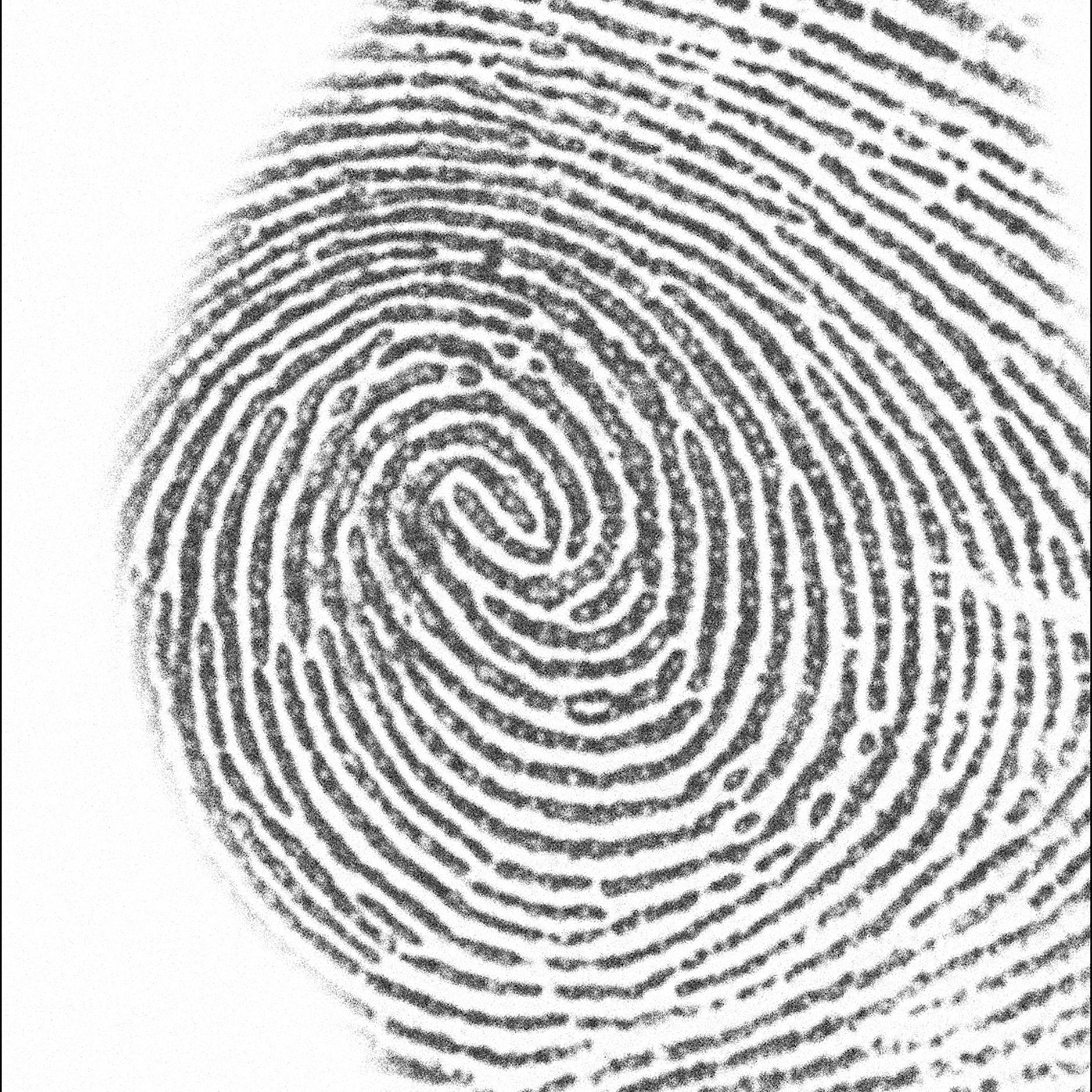 Tatort Berlin: Wie Wissenschaftler Spuren „zum Sprechen“ bringen