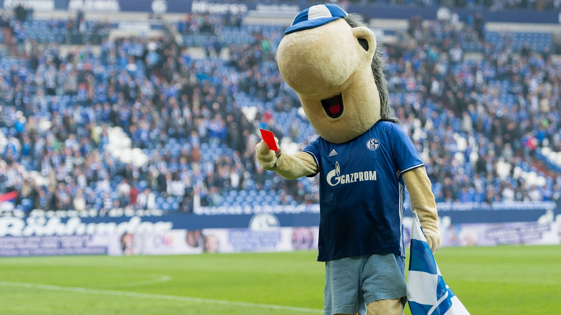 Schalke-Maskottchen Erwin mit der roten Karte in der Hand.