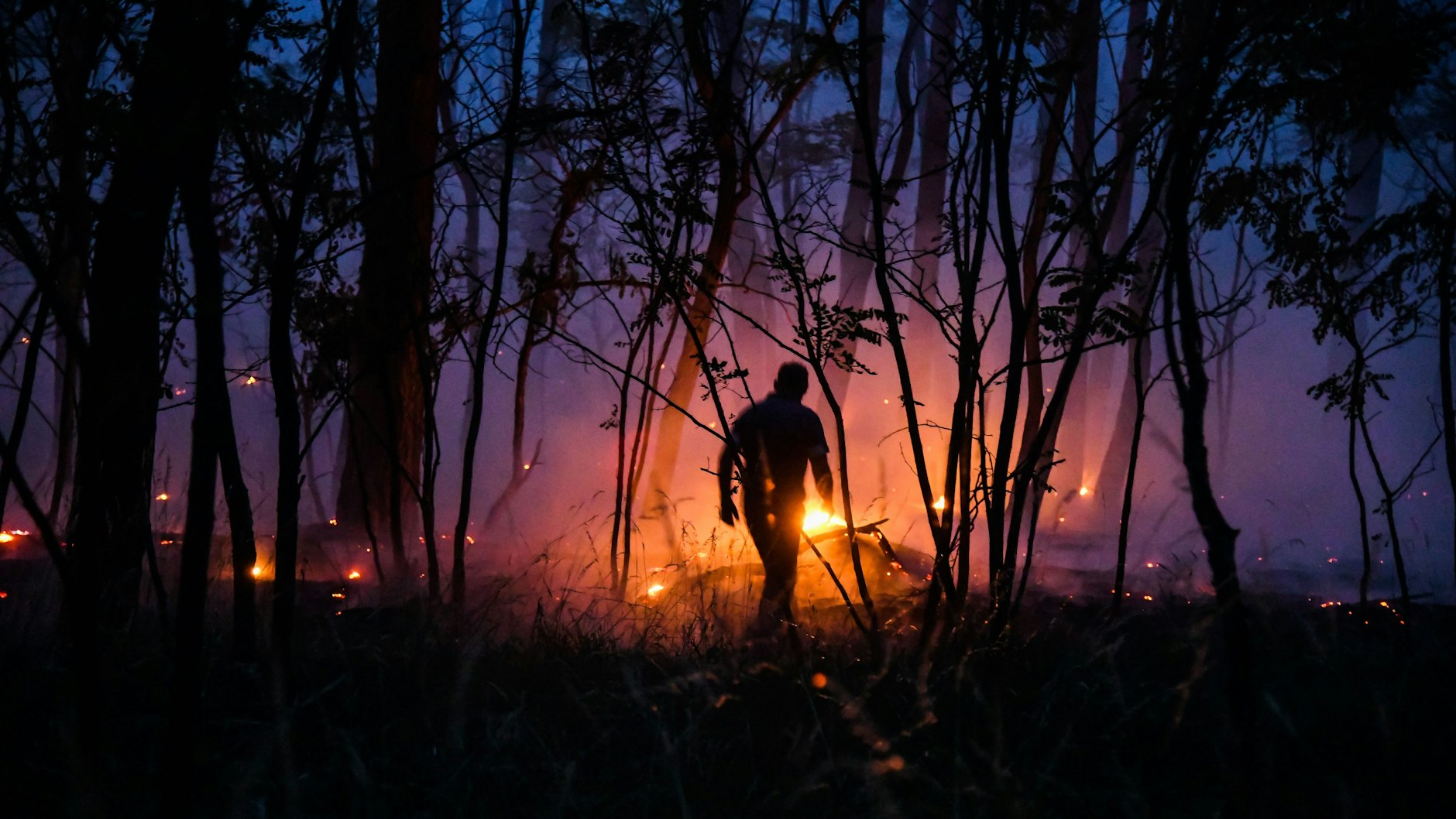 Waldbrand in Ostbrandenburg im Juni 2019: Ein Mann geht während eines Feuers in der Nähe von Ziltendorf durch das Unterholz.