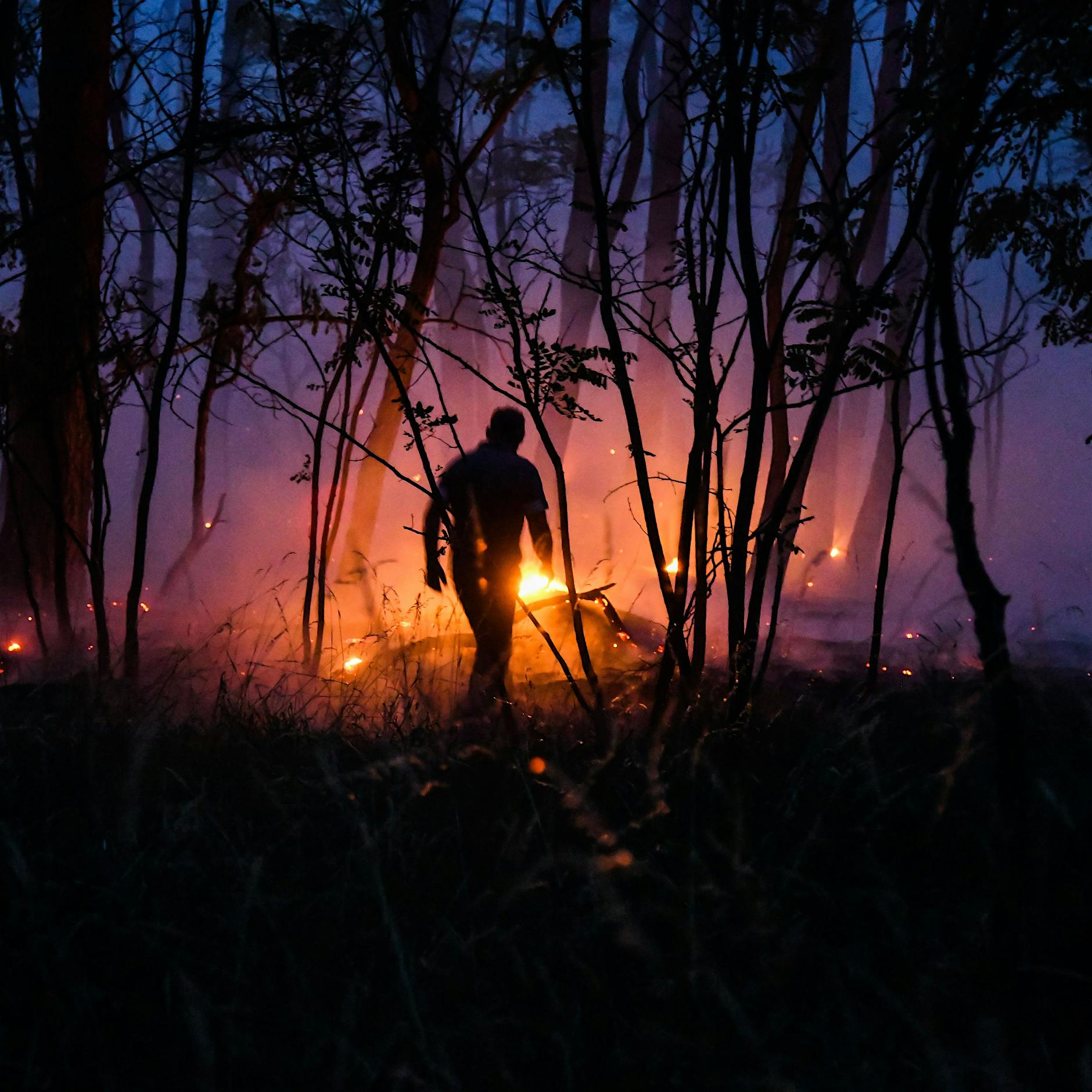 In Brandenburg brennen die Wälder am häufigsten