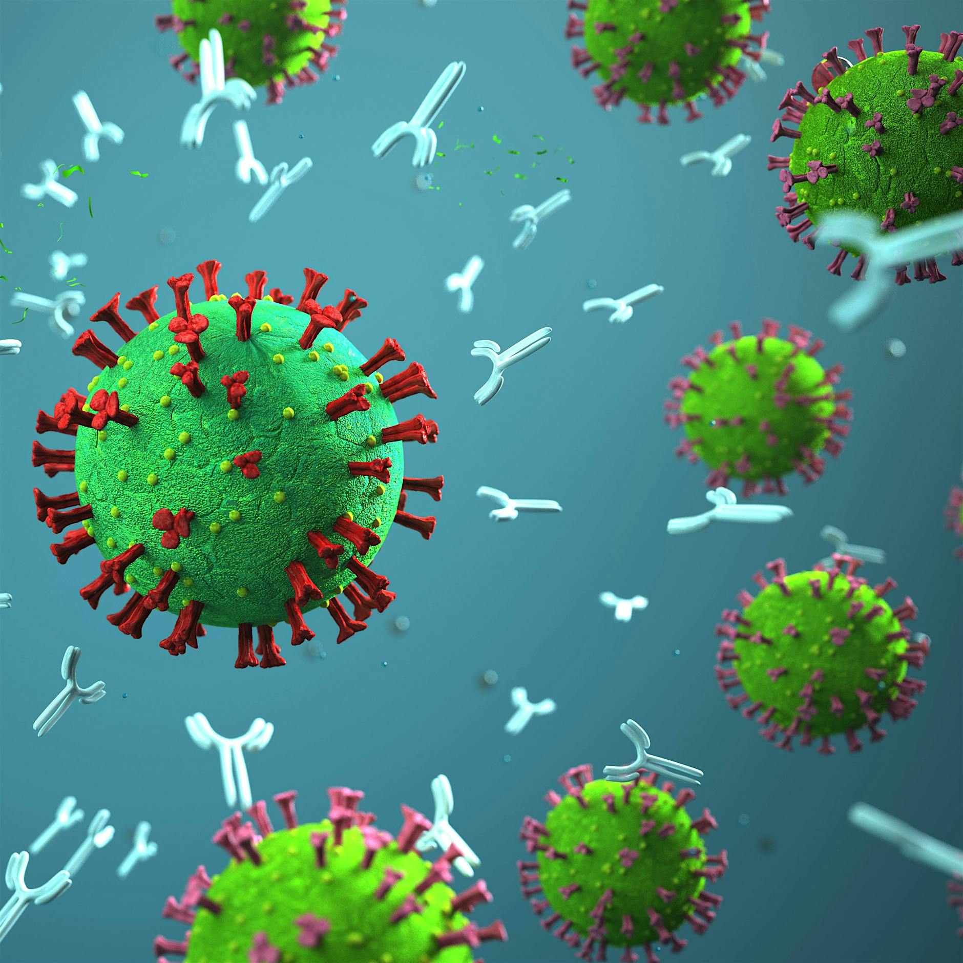 Medikamente gegen Covid-19: Sind Antikörper aus dem Labor die Lösung?