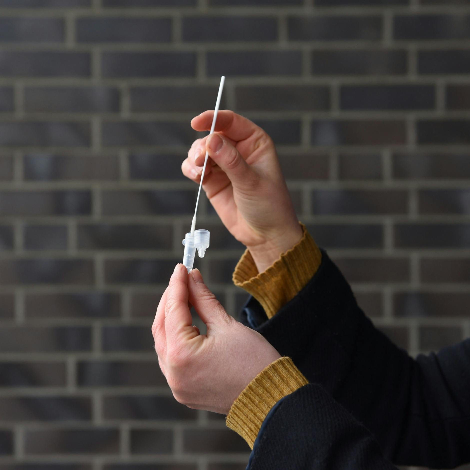 Das Teststäbchen wird in der Lösungsflüssigkeit geschwenkt. 