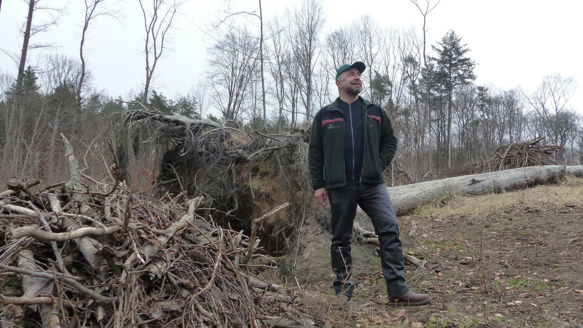 Luthardt an jenem Hügel, an dem im Herbst 2017 ein Sturm eine breite kahle Schneise in den Wald geschlagen hat. 
