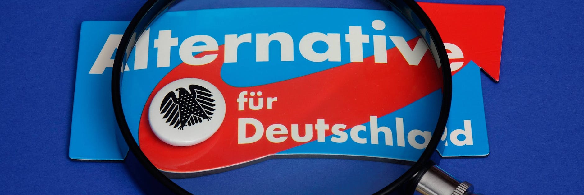 AfD und Bundesadler mit einer Lupe