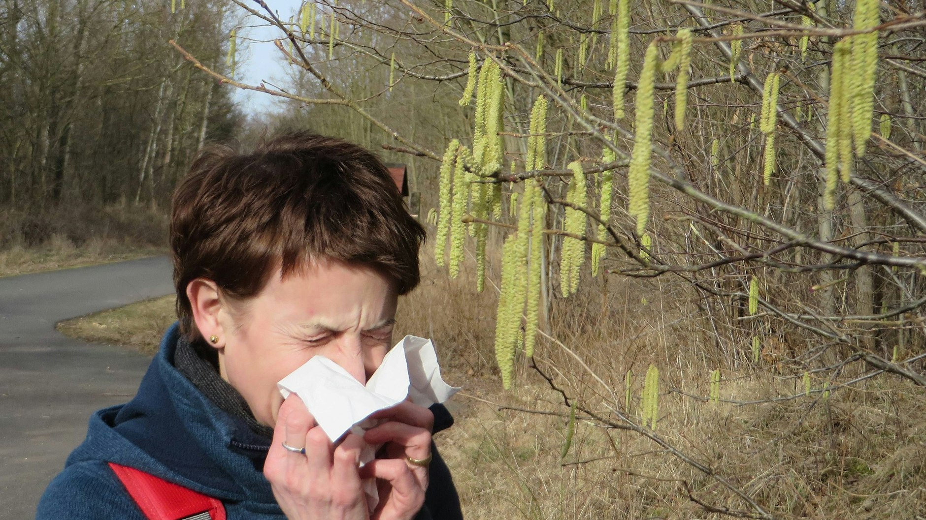 Etwa 15 Prozent der Menschen in Deutschland leiden an Heuschnupfen.&nbsp;Derzeit strömen in großen Teilen des Landes Erlen- und Baum-Hasel-Pollen durch die Luft.