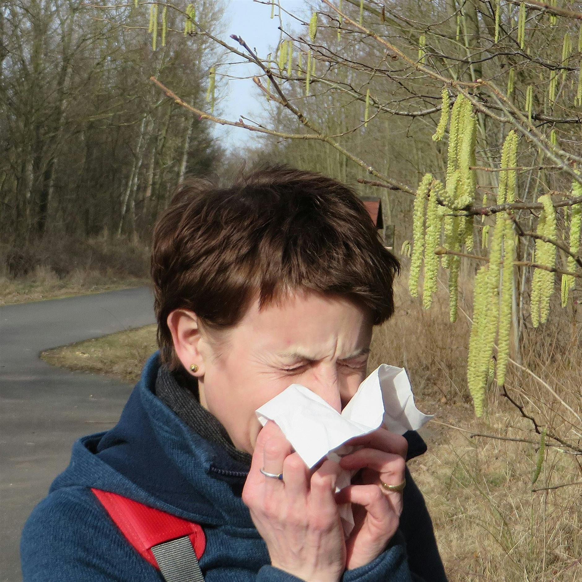 Starker Pollenflug kann Risiko einer Coronavirus-Infektion erhöhen