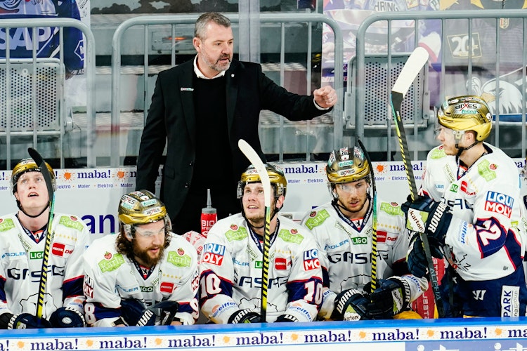 Eishockey Halbfinale 2021 Eishockey Halbfinale 2021