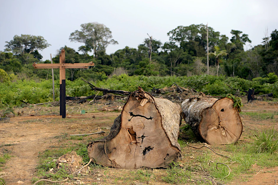 Rodung im brasilianischen Regenwald: Die EU und Deutschland treiben durch Importe die Abholzung von Tropenwäldern besonders stark voran.