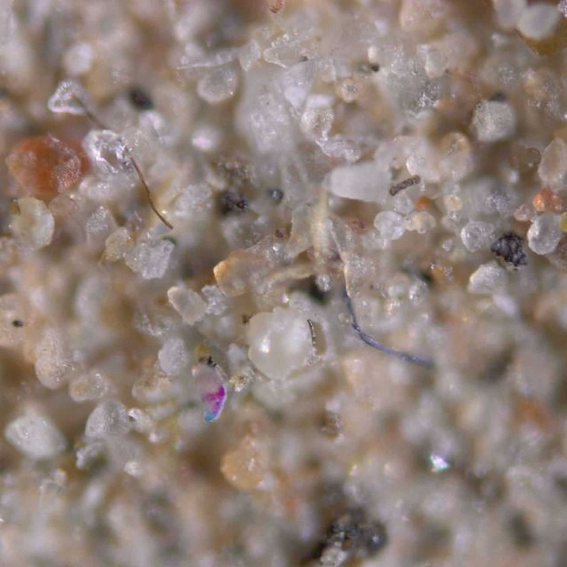 Mikroplastik in Staub aus der Atmosphäre.