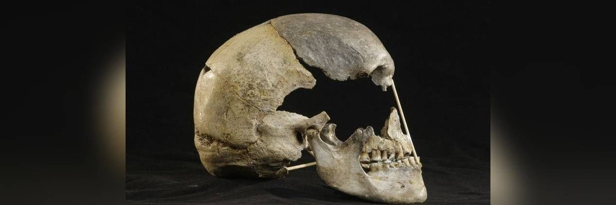 Aus diesem in Tschechien entdeckten Frauenschädel – Schädel von Zlatý kůň genannt – rekonstruierten Forscher das älteste Genom eines modernen Menschen. Die Frau lebte vor mindestens 45 000 Jahren.