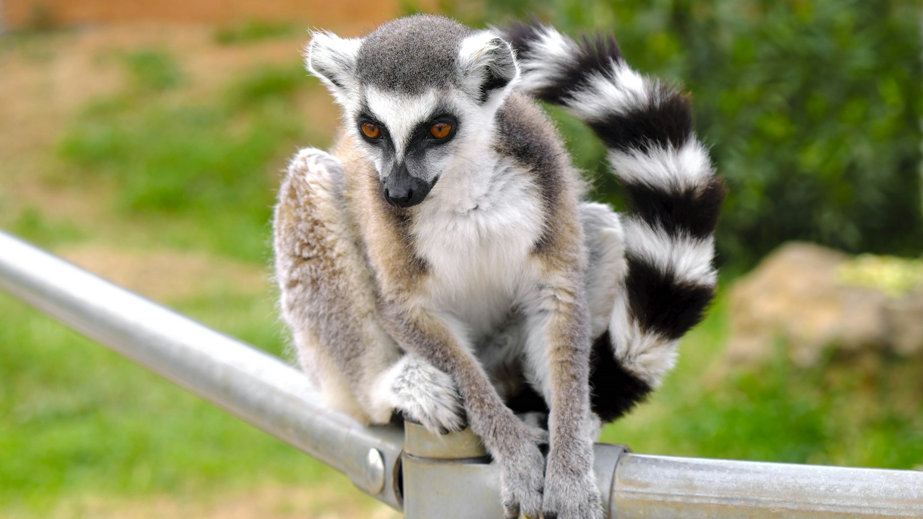 Issiq braziliyalik ayollarning porno fotosuratlari