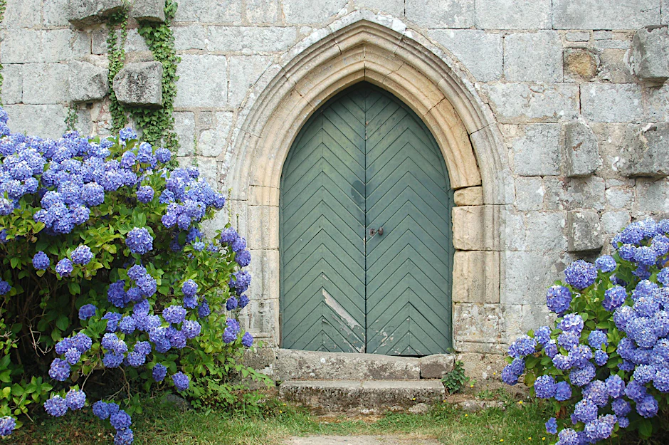 Ein Traum, den unser Profigärtner-Autor früher einmal hatte: blaue Hortensien rund ums Haus.&nbsp;