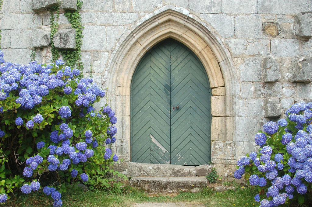 „Es wird Zeit, nach den Veilchen zu schauen“: Blaue Stunde im Garten