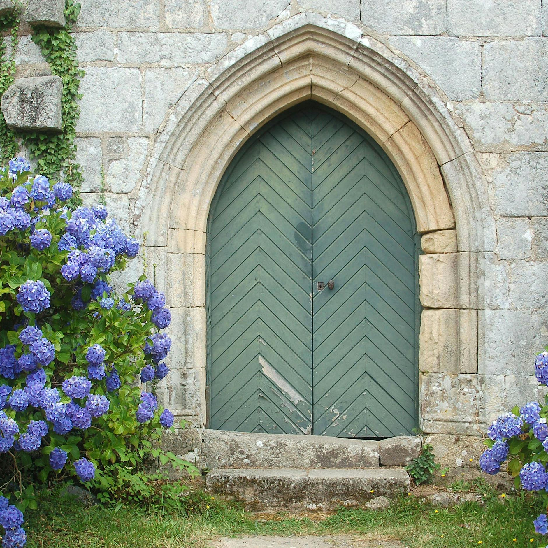 „Es wird Zeit, nach den Veilchen zu schauen“: Blaue Stunde im Garten