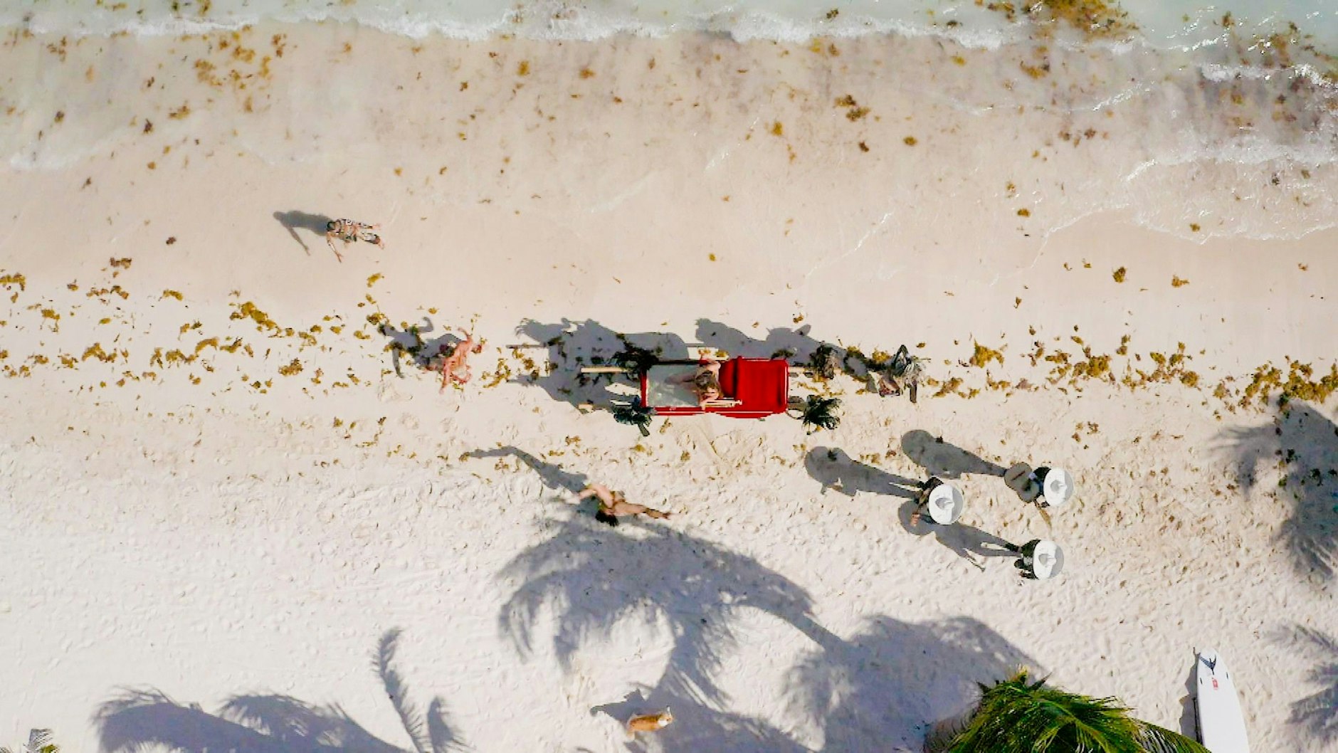 Mit großem Bahnhof wurde Melody Haase ans Set von "Ex on the Beach" gebracht.