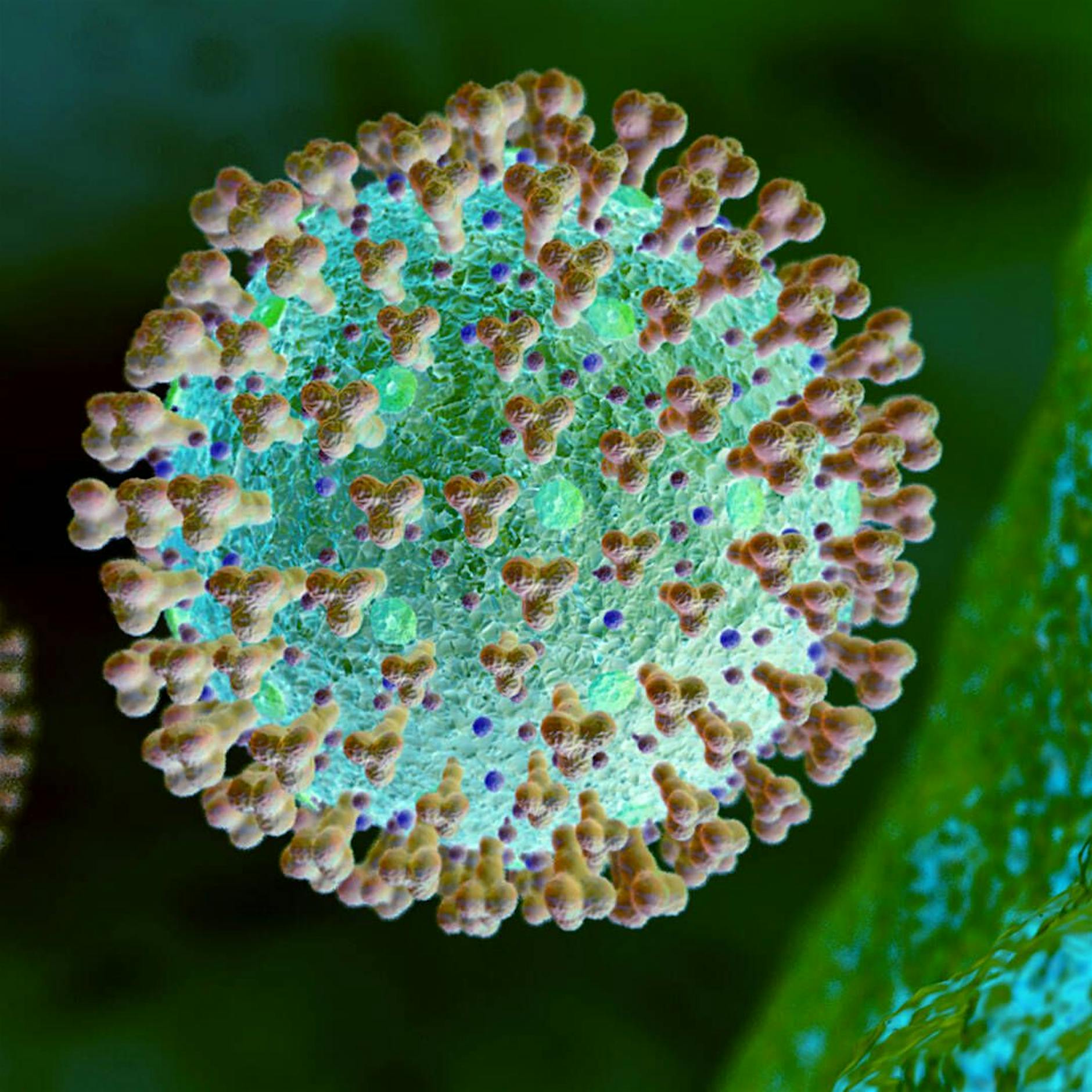 Corona in Berlin: 548 Neuinfektionen – Inzidenz bei 152,4