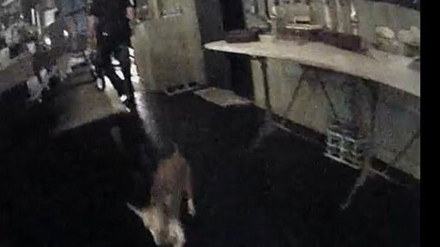 Bilder Überwachungskamera